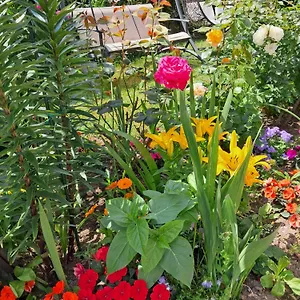 Apartment Kristina, Brissago-Valtravaglia